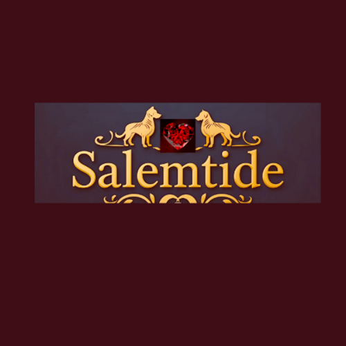 Salemtide